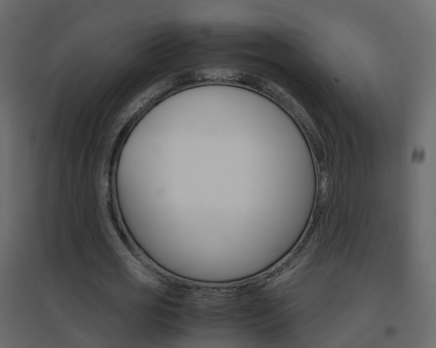 X0000096640725200802050957