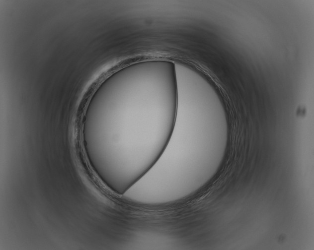X0000096640726200802050957