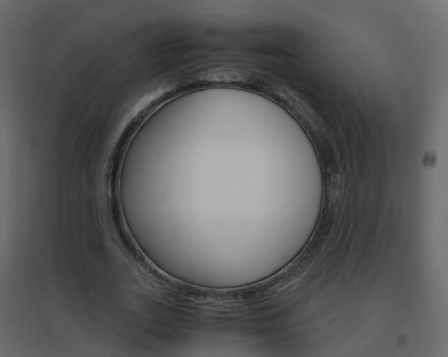 X0000096640727200802050957