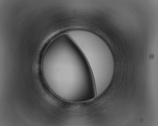 X0000096640728200802050957