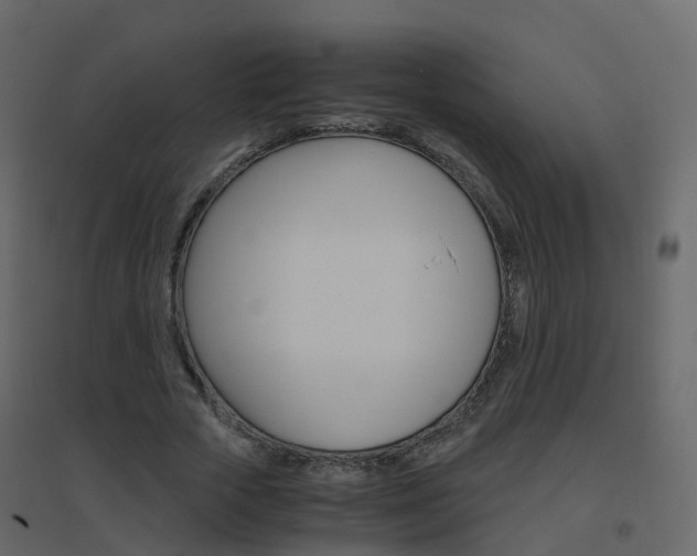 X0000096640729200802050957