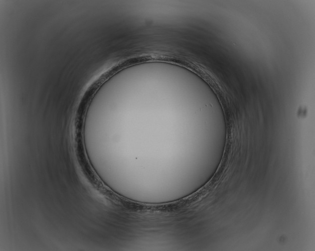 X0000096640730200802050957