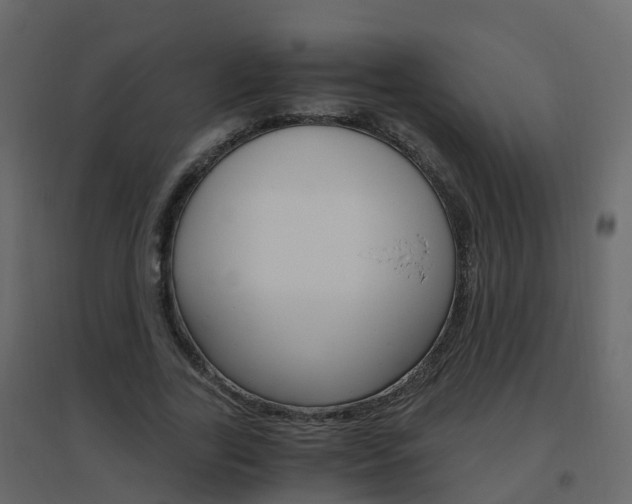 X0000096640731200802050957