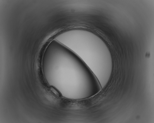 X0000096640732200802050957