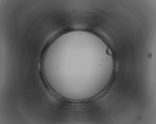 X0000096640733200802050957
