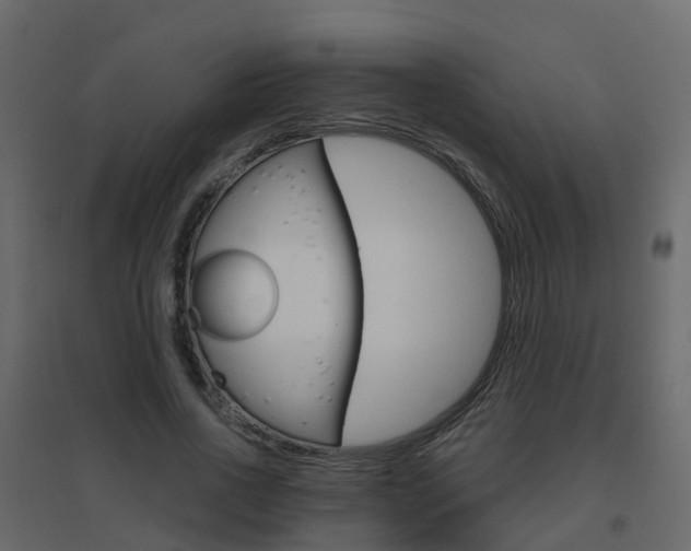 X0000096640734200802050957