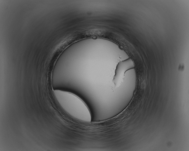 X0000096640735200802050957