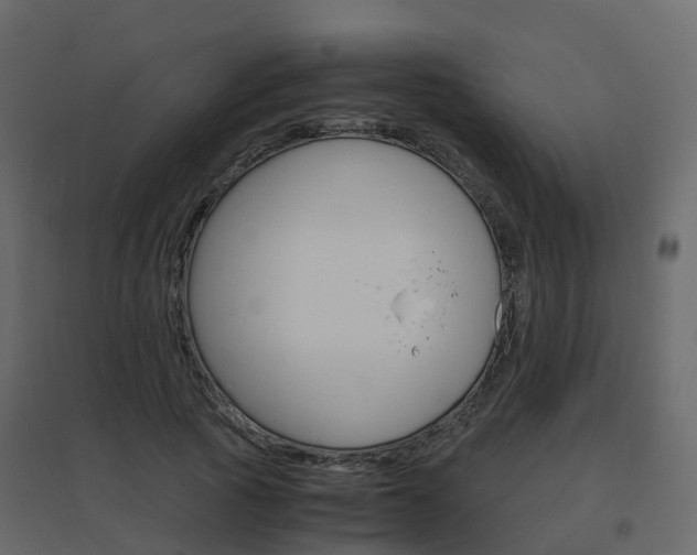 X0000096640737200802050957