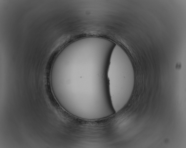 X0000096640738200802050957