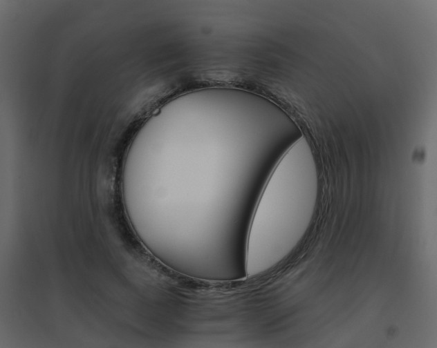 X0000096640739200802050957