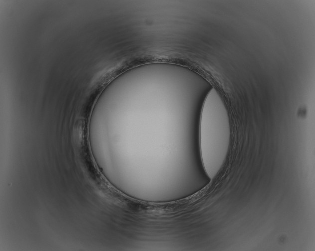 X0000096640740200802050957