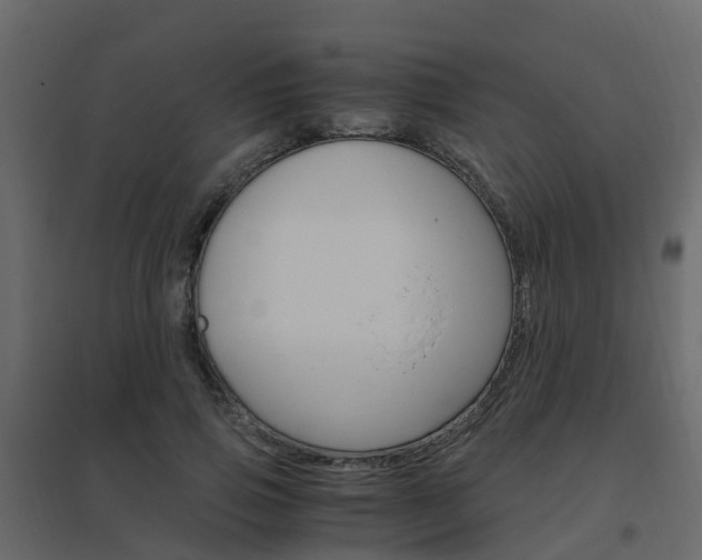 X0000096640741200802050957