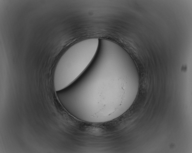 X0000096640743200802050957