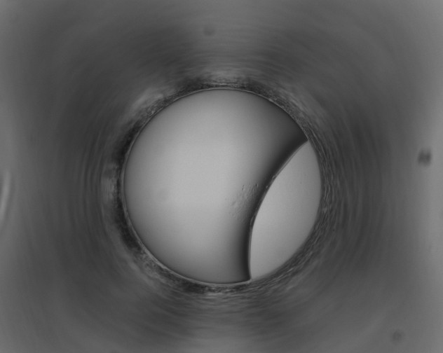 X0000096640744200802050957
