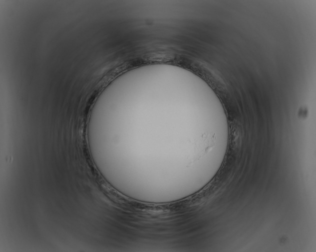 X0000096640745200802050957