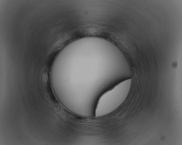 X0000096640746200802050957
