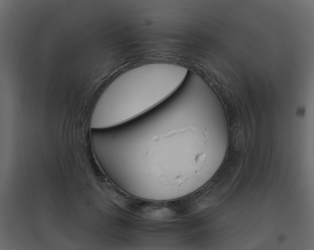 X0000096640747200802050957