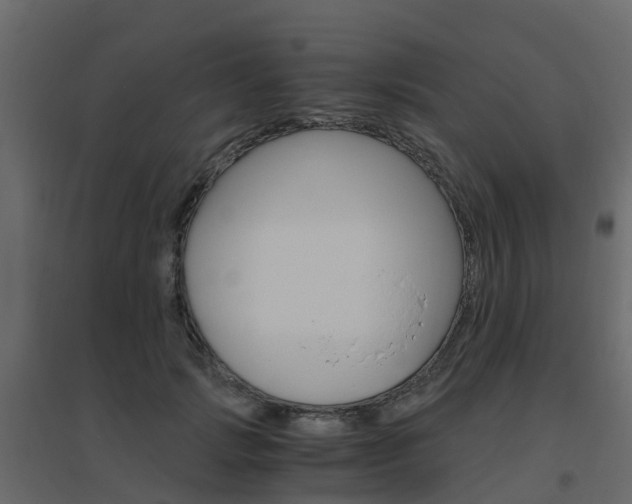X0000096640749200802050957