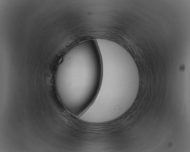 X0000096640750200802050957