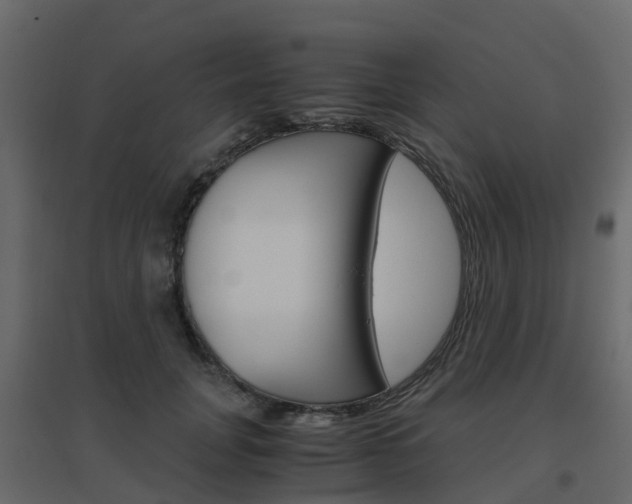 X0000096640751200802050957