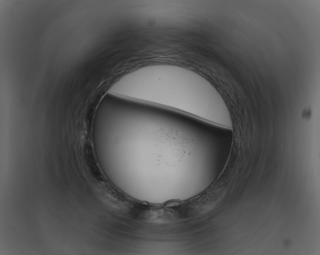 X0000096640752200802050957