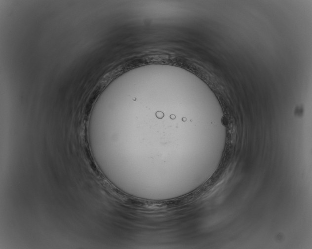 X0000096640753200802050957