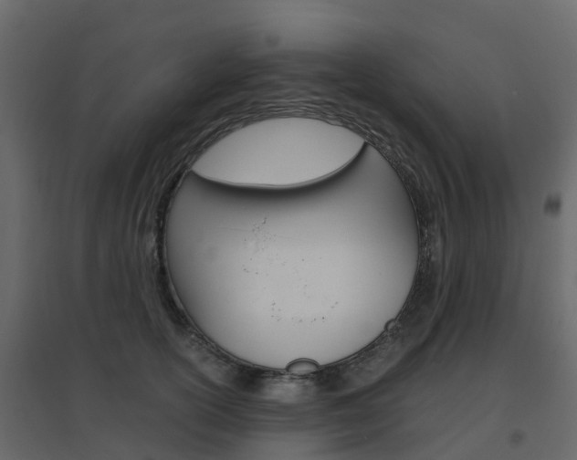 X0000096640754200802050957