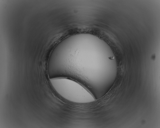 X0000096640756200802050957