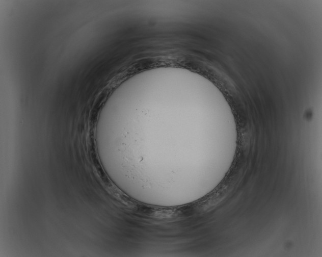 X0000096640757200802050957