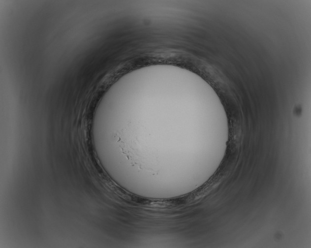 X0000096640758200802050957