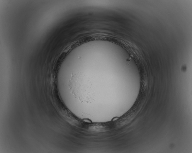 X0000096640759200802050957