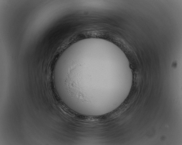 X0000096640760200802050957