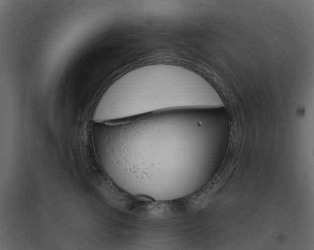 X0000096640762200802050957