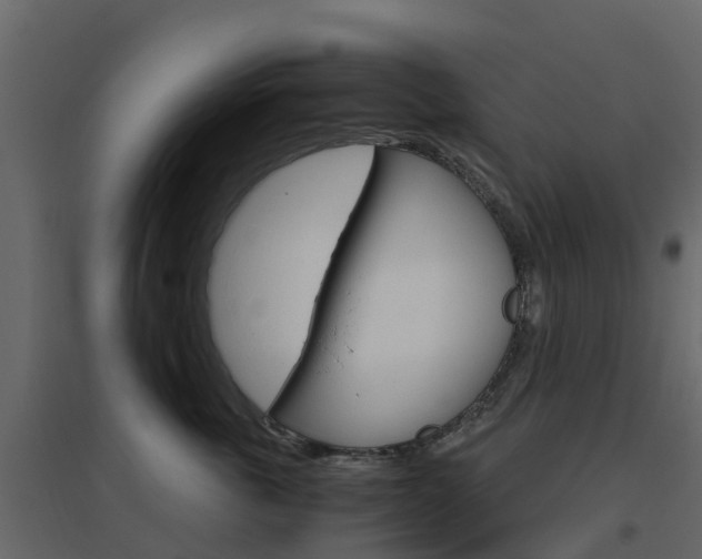 X0000096640763200802050957