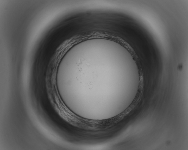 X0000096640765200802050957