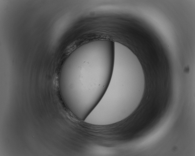 X0000096640766200802050957