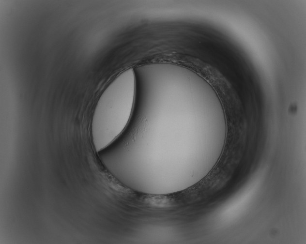 X0000096640767200802050958