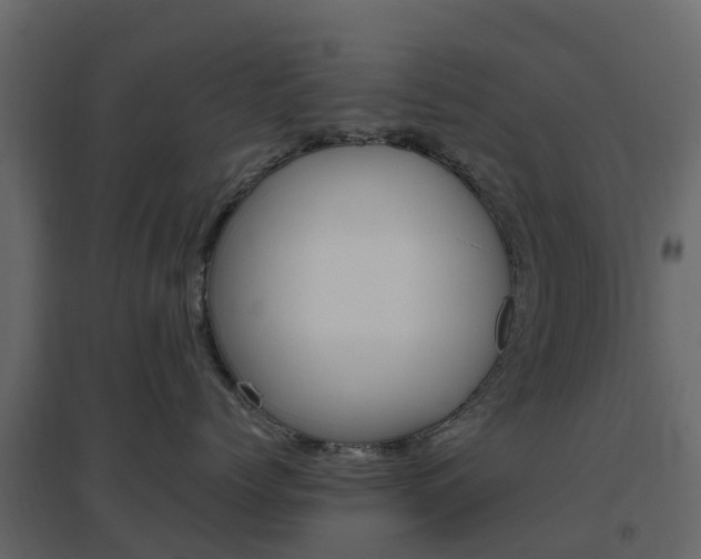 X0000096640768200802050958