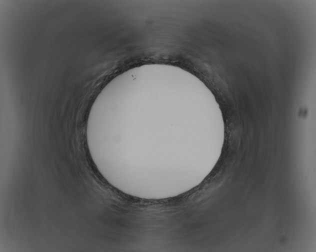 X0000096640769200802050957