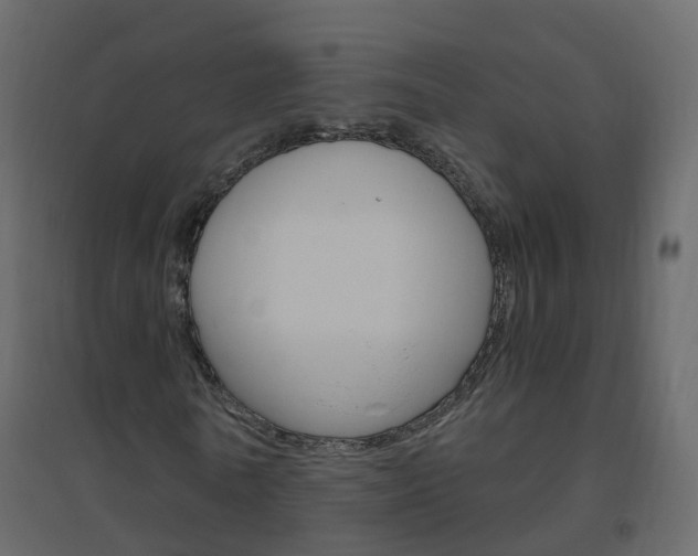 X0000096640770200802050957