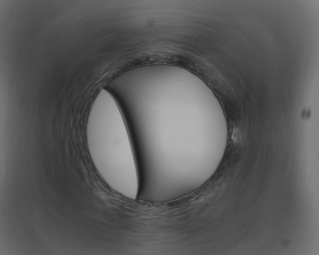 X0000096640771200802050957