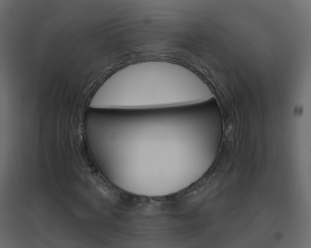 X0000096640772200802050957