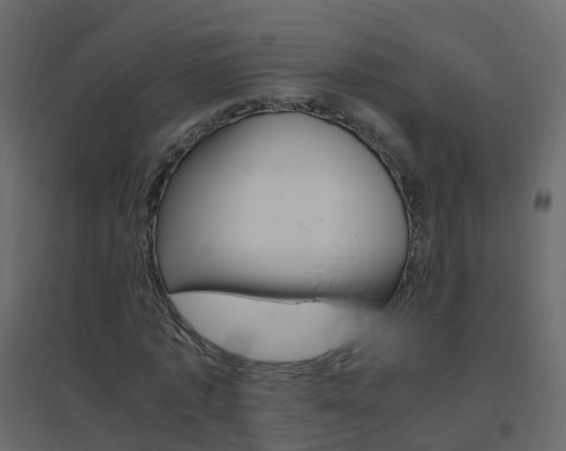 X0000096640773200802050957