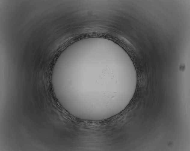 X0000096640774200802050957