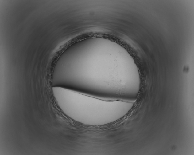 X0000096640775200802050957