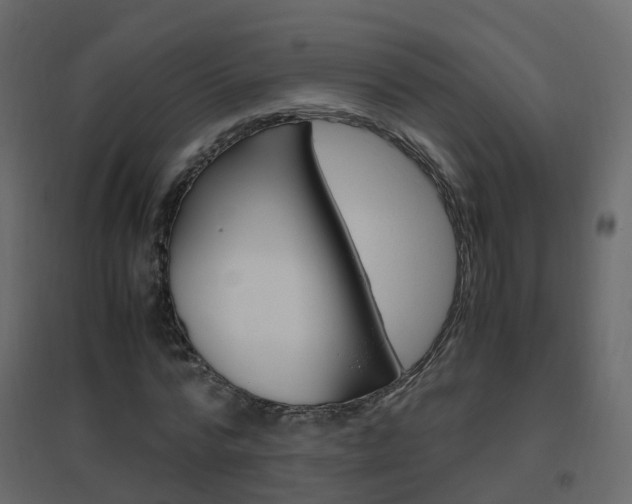 X0000096640776200802050957