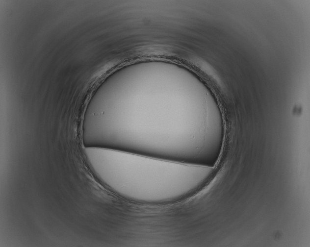 X0000096640777200802050957