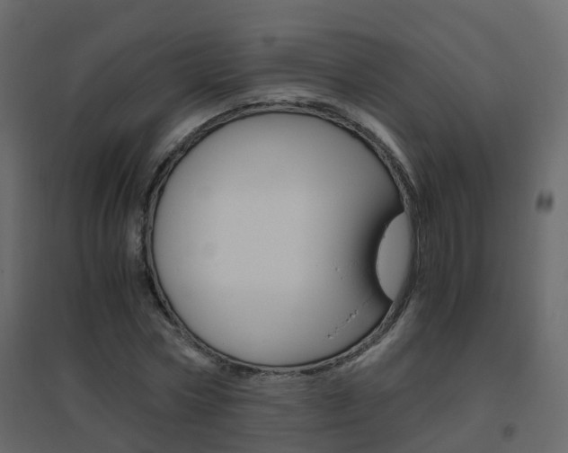 X0000096640778200802050957