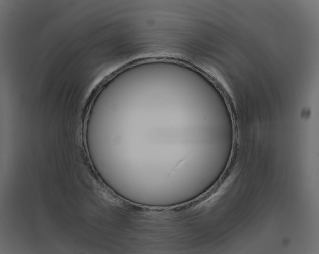 X0000096640781200802050957
