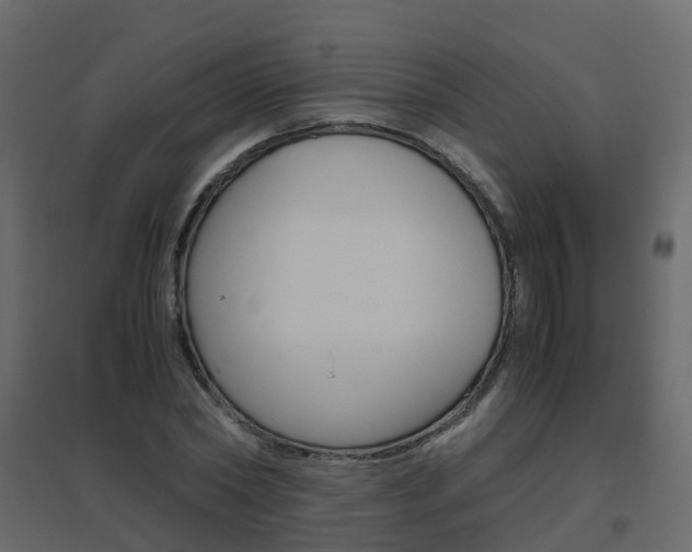 X0000096640782200802050957